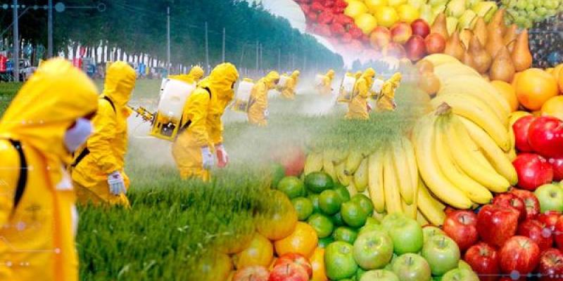 Los pesticidas en los alimentos de la UE