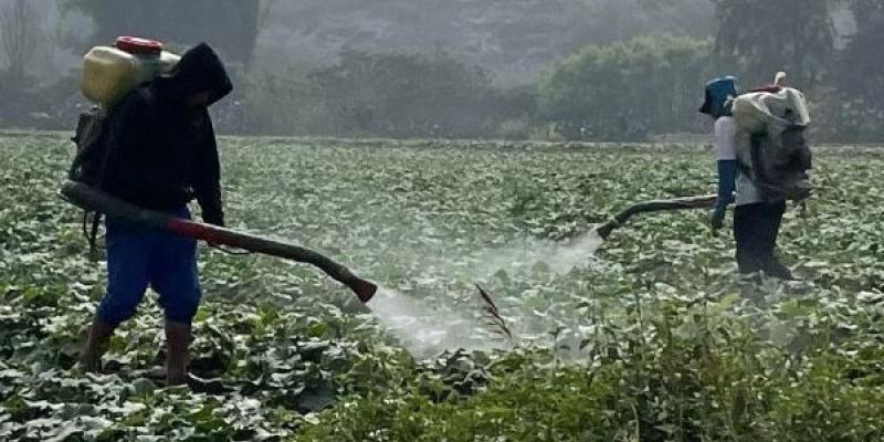 Los pesticidas tienen consecuencias para la biodiversidad Agricultura abusando de los pesticidas