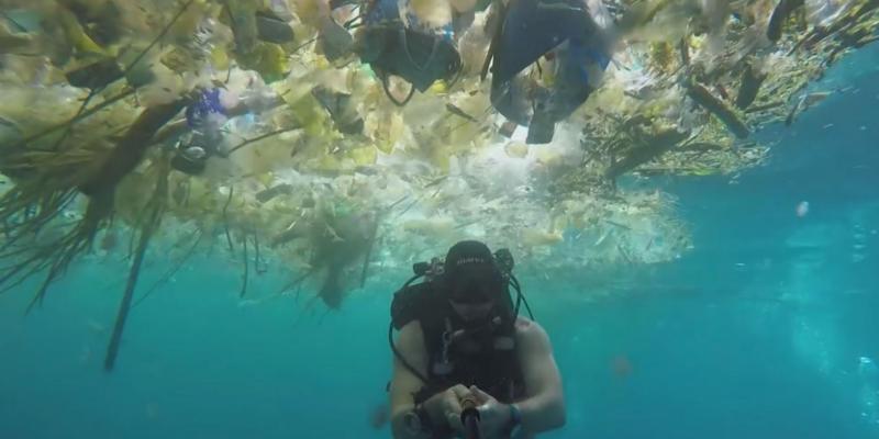 Una semana sin plástico. mares de plástico