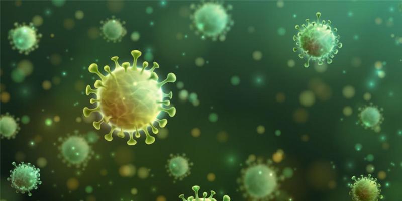 Imagen de células/Hospitecnia El plasma frío contra tumores y rejuvenecimiento