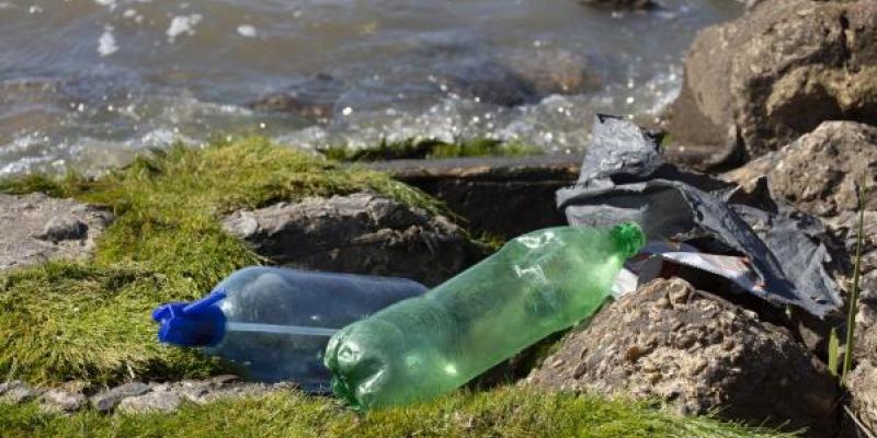 Contaminación por plásticos Los plásticos están por todas partes