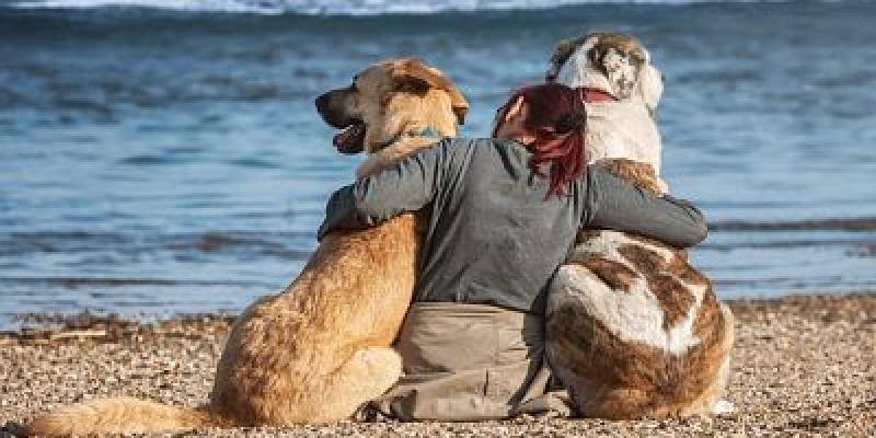 Dueña con sus perros en la playa/Pixabay