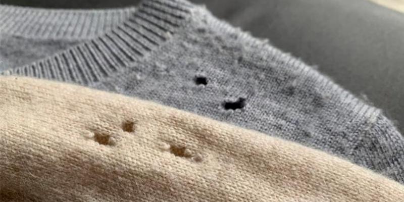 Imagen de prendas de ropa agujereadas por las polillas/Pineda Servicios Integrados Cómo eliminar polillas de la ropa