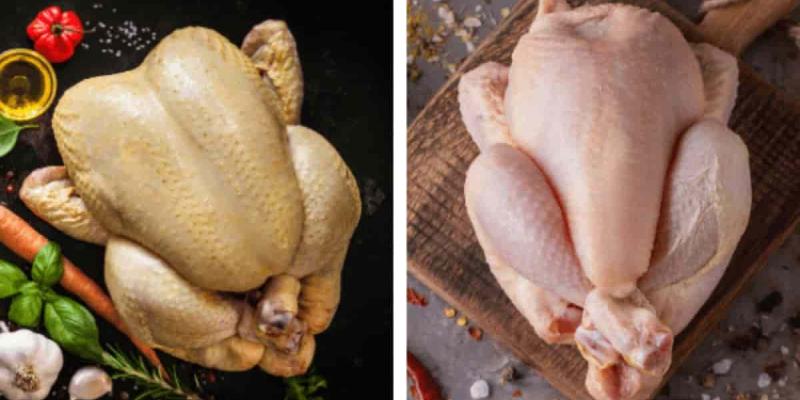 Diferencias entre el pollo amarillo y rosado