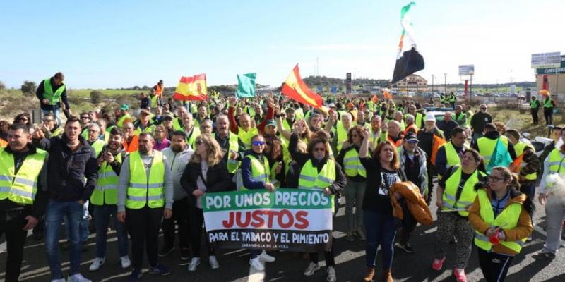El Gobierno aprobará la regulación de los precios del sector agrario. El Gobierno aprobará la regulación de los precios del sector agrario.