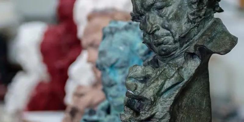 Down Valladolid e Incorpora colaborarán en la organización de la gala de los 38 Premios Goya en Valladolid. / ALBERTO ORTEGA para 20minutois Premios Goya