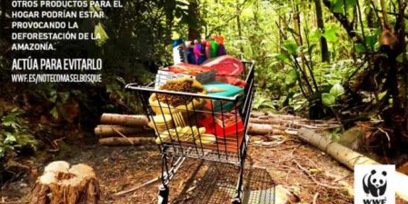 Productos que causan deforestación