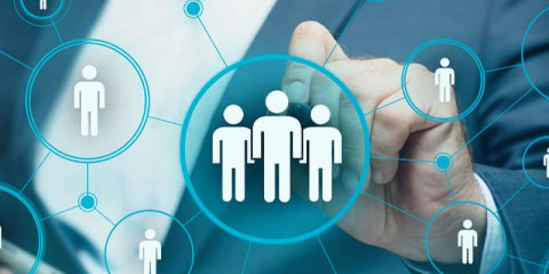 Datos de la recolocación de empleo Programas de recolocación de empleo