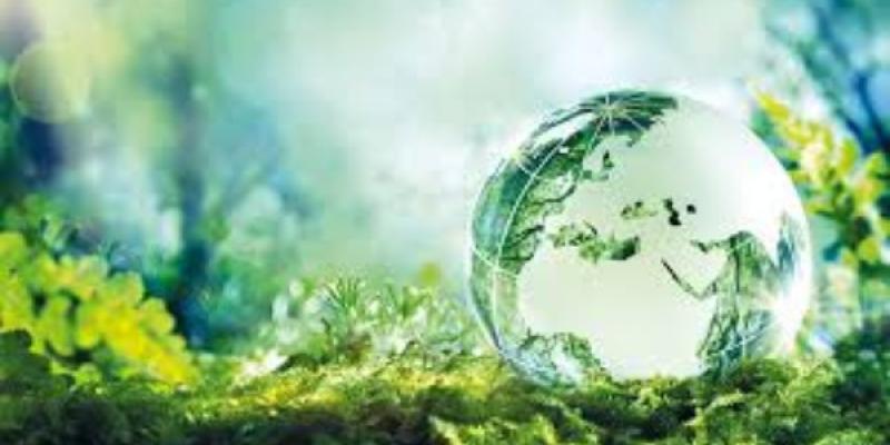 La protección del medio ambiente a los tribunales La protección del medio ambiente es primordial