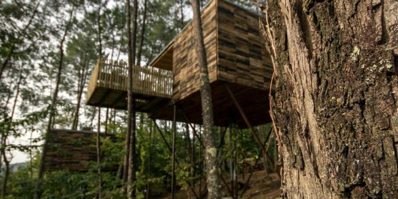 Puente / Las cabañas del bosque Casa en la copa de un árbol con todas las comodidades