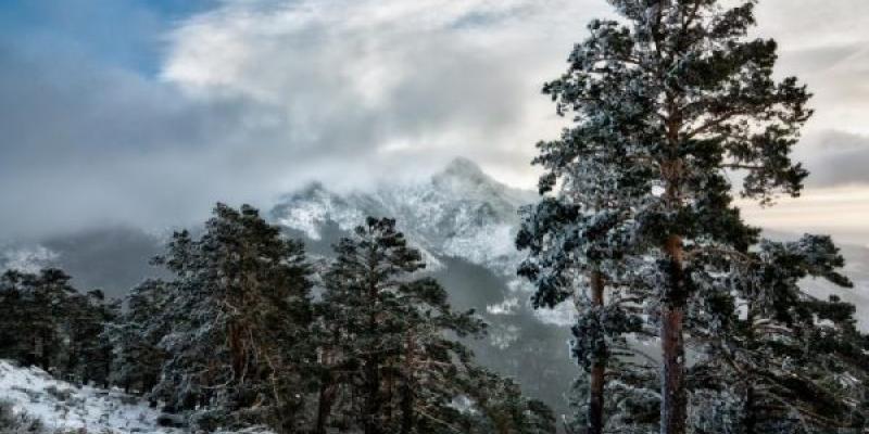 Navacerrada/ Miteco Puerto de Navacerrada