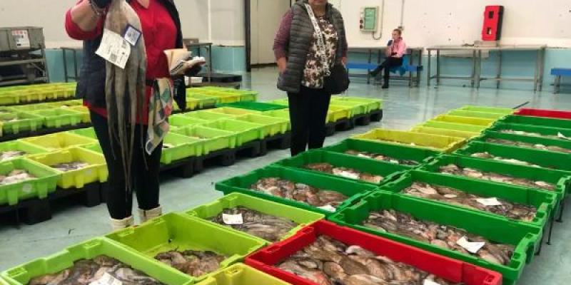 Pulpos huyen del calentamiento de los océanos Pulpos en lonja gallega