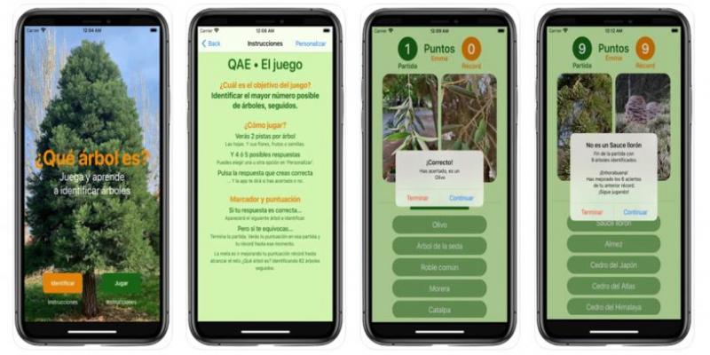 Interfaz de la app Qué árbol es