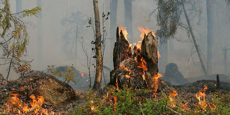 Imagen de Pixabay Imagen recurso de un incendio en Pixabay