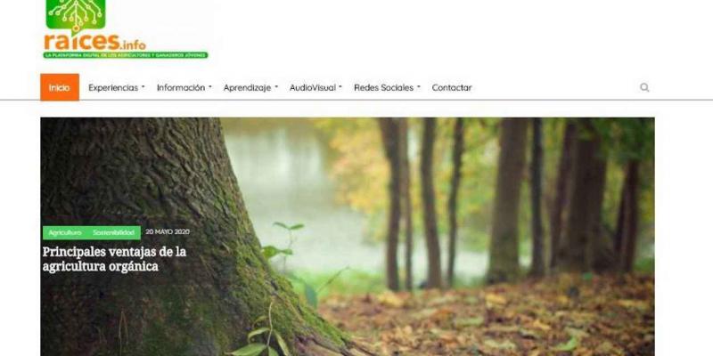 ‘Raíces’, la primera plataforma digital colaborativa del sector agrario Raíces, primera plataforma digital colaborativa sector agrario
