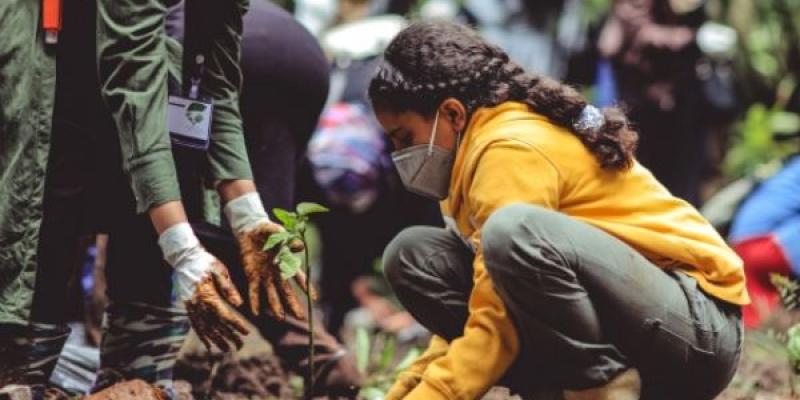 Recuperación verde en Etiopía