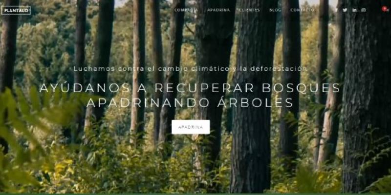 Recuperar bosques es fácil/ plantalo.org Página web del proyecto Plántalo.