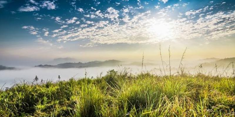 recursos naturales y jóvenes/ Pixabay Recursos naturales