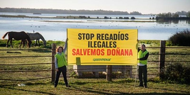 Greenpeace manifestándose contras los regadíos ilegales