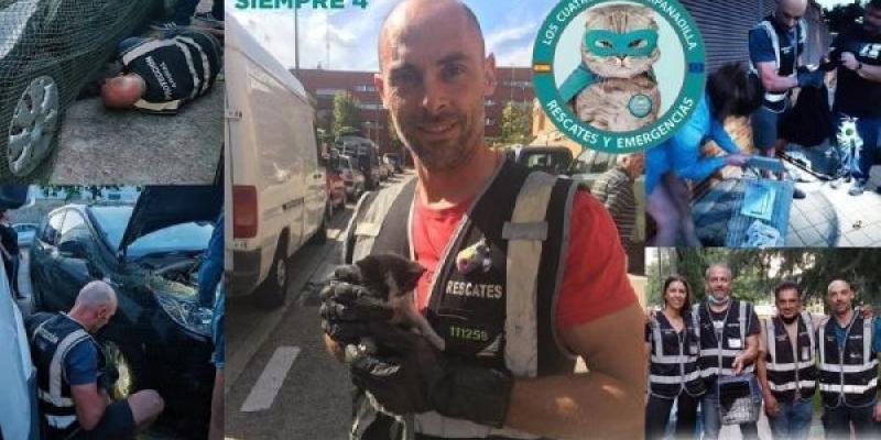 Alberto, Bombero que trabaja por el rescate de animales
