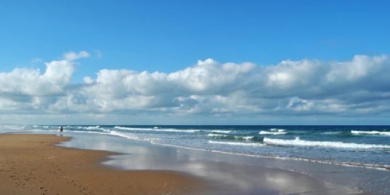 Reserva marina de Conil/ Pixabay Playa de Conil