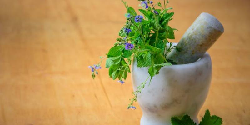 Los mejores remedios caseros para el resfriado - Pexels Hierbas naturales para tratar el resfriado