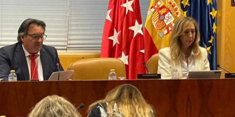 El presidente de Aemed, Juan Agudo, en la Asamblea de Madrid