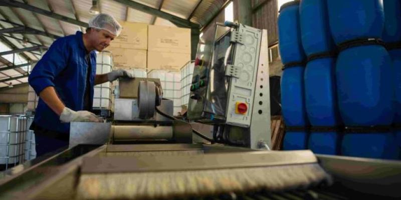 Imagen de un trabajador en una industria de aceitunas/envatoelements Proyecto CARBON+ para los reisduos de las aceitunas