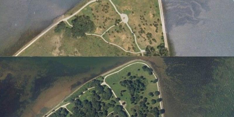 Marismas de Astillero, Cantabria/ SEO/BirdLife Ejemplo de restauración con ecosistemas agrícolas responsables