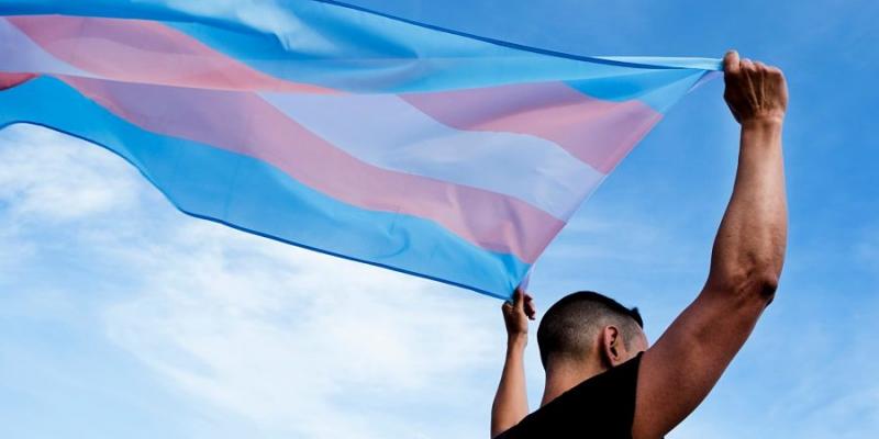 Imagen de la bandera del colectivo trans/RTVE El colectivo LGTBI lleva 43 años esperando esta nueva ley trans