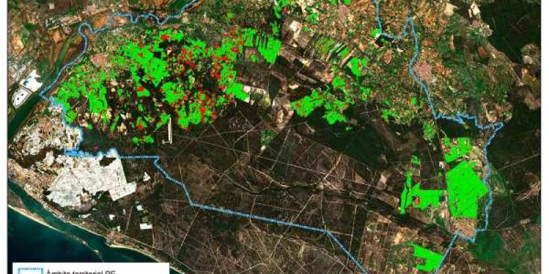 Zonas en Doñana regadas de forma ilegal