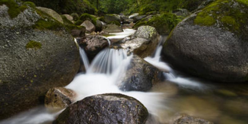 Imagen de un río/envatoelements La materia orgánica ensucia los ríos y arroyos