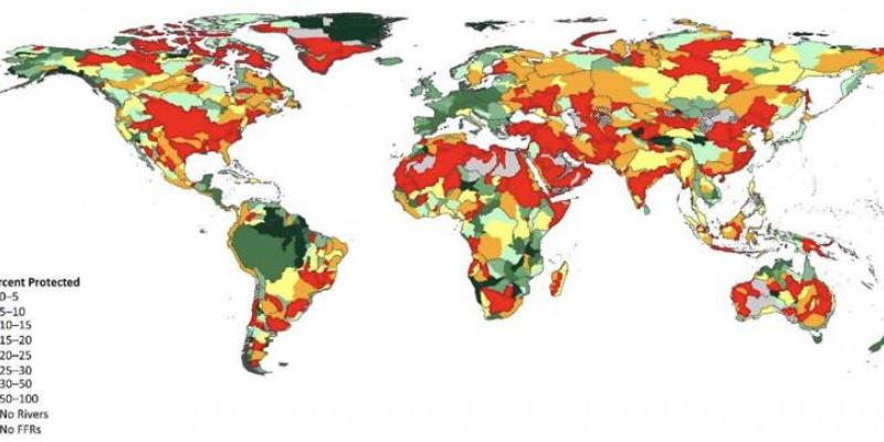 Ríos mundiales, mapa que muestra el porcentaje de protección