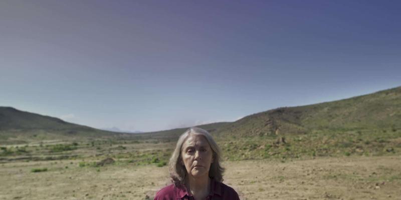 Imagen de una escena de la película Ruido/FilmAffinity La película Ruido muestra la realidad de México