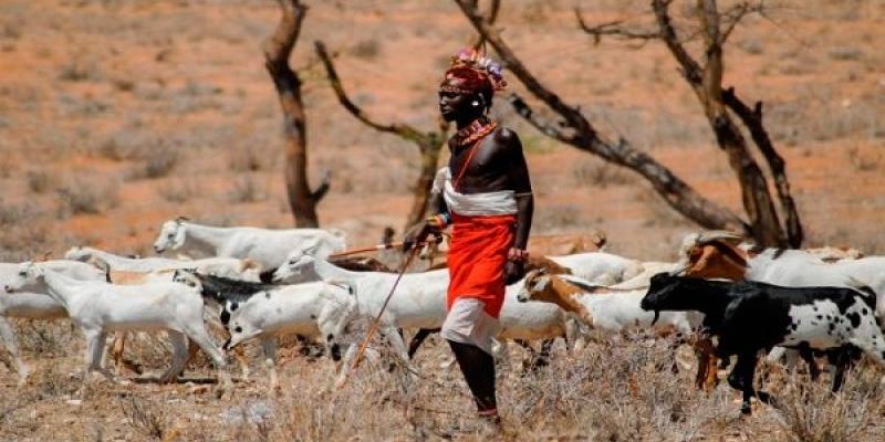 Estiman que, a largo plazo, cultivos de maíz, mijo y sorgo disminuyan ante la acción climática. | Foto: EFE (referencial) Habitante Sahel