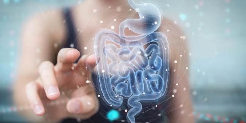 Para cuidar nuestra salud digestiva, es necesario cuidar la microbiota - Pixabay Es necesario cuidar la salud digestiva