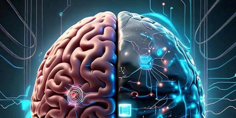 Imagen de un cerebro/Diario Democreacia Salud mental y tecnología