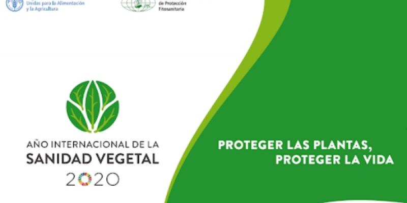 Cartel del año de la Sanidad Vegetal