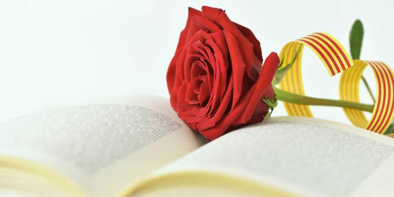 Imagen de una rosa de Sant Jordi/Time Out Sant Jordi y las rosas