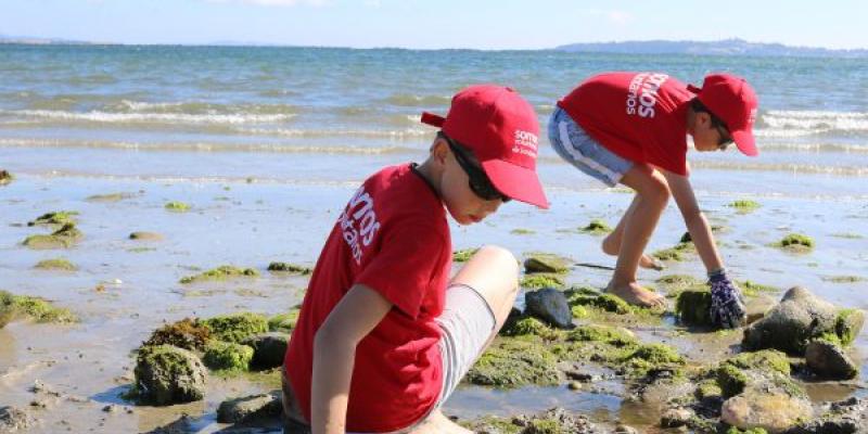 Santander Natura/ Fundación Santander Voluntarios de Santander Natura