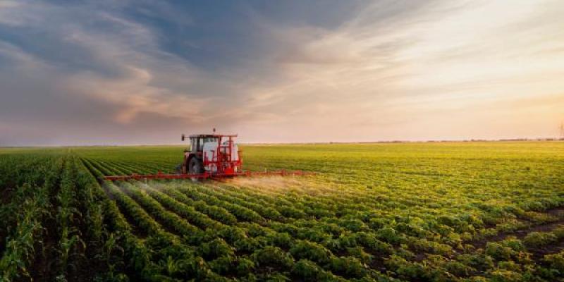 El sector primario: la agricultura