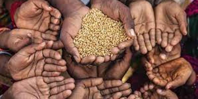 Imagen de varias manos/Radio Universidad de Chile La FAO advierte de los altos niveles de pobreza y hambre