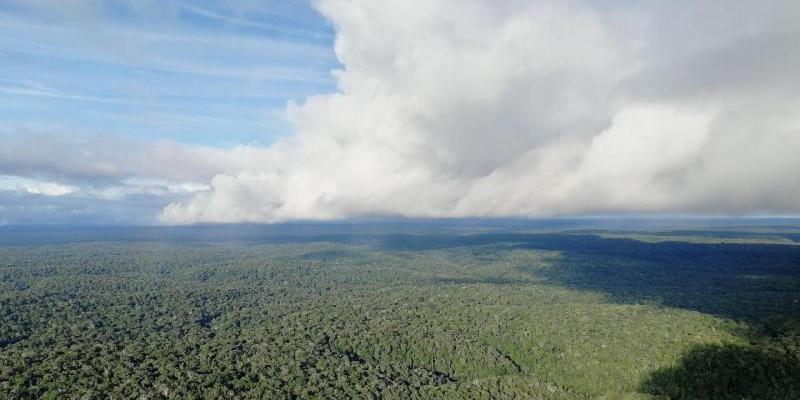 Nubes de lluvia en sobre la selva amazónica/ Jessica Baker Selva Amazónica