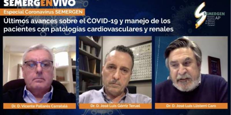 Reunión online de expertos de Atención primaria en el marco del COVID-19