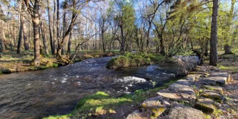 La Senda de las Pesquisas Reales genial para perderse esta Semana Santa/Parquenacionalsierradeguadarrama.es Un tramo de la Senda de las Pesquisas Reales