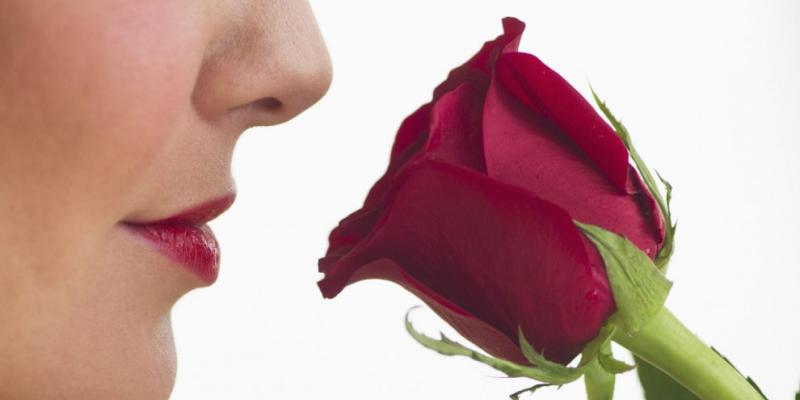 Imagen de una persona oliendo una rosa/MédicoPlus El sentido del olfato y sus características