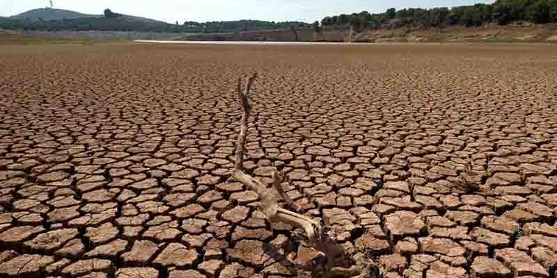 sequías / RTVE.es Las sequías llegarán a España si continúa el descenso de las precipitaciones