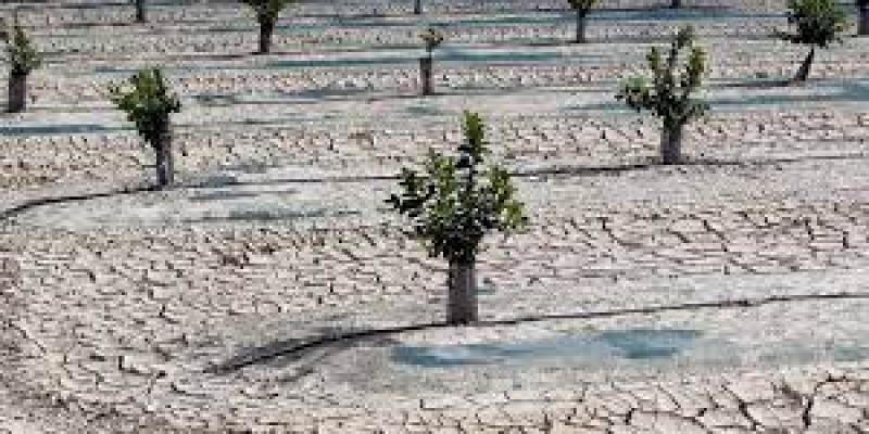 El aumento de la sequía entorpece la estabilidad económica