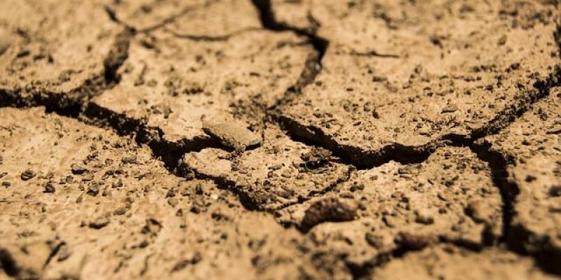La amenaza de la sequía global 