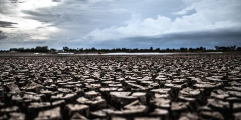 La sequía mundial Ejemplo de sequía